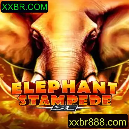 Descubra o Universo de ElephantStampedeSE