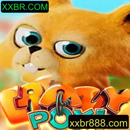 Descubra o Mundo de CrazyPoki e as Últimas Novidades